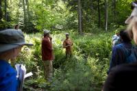 'We have more deer than our forests can support': Norwich walk highlights browse damage