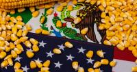 The Corn Dispute at the Heart of US–Mexico Agricultural Trade