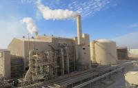 More than 13 people were injured from ammonia gas leak in the Jordanian city of Aqaba