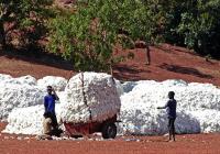Burkina Faso opens cotton apparel complex