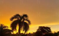 Saharan Dust Arrives in Mexico, Bringing Hazy Skies and Health Warnings