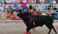 Moment 'Messi of matadors' is tossed around between bull's horns while clinging on for his life - months after he was horrifically gored in Spain
