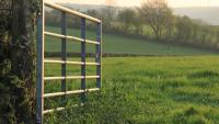 Galway research identifies supports for women in farming