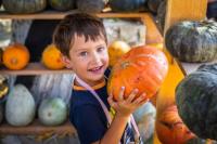 Farm and Fall Festival Fun in the Delaware Valley