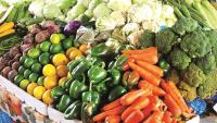 Nigeria’s Farm Import Bill Drops 8.5 Percent to N2.03tn in Six Months