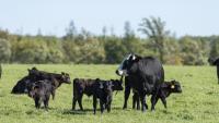 N.D. Farmers Union members go to Washington, D.C. to pressure Congress to pass a farm bill