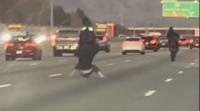 You have to see this! Motorcyclist crashes while doing wheelie on busy Idaho freeway