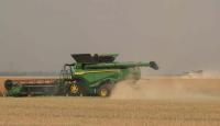 Grain drying cost can’t be a question mark as farmers fight tough grain harvest