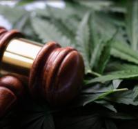 New law brings stricter penalties for marijuana-related offenses on college campuses across Louisiana