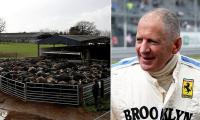 Formula One world champion faces £1.4million tax bill after losing fight with HMRC over his Hampshire buffalo farm