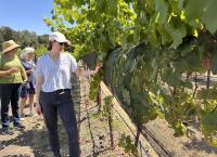 White wines made by women are making waves