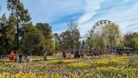 11 facts Americans might not know about Australia's capital
