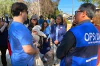 Chile becomes first country in South America validated for eliminating dog-transmitted rabies as a public health problem