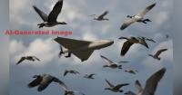 POWDER KEG BALTICS: Lithuania’s Drone Scare Has NATO Scrambling Fighter Jets to Intercept… a Flock of Birds!