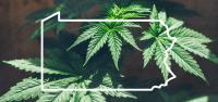 Pennsylvania Medical Cannabis Program Audit Calls for Increased Oversight
