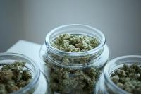 Large Study Of Medicinal Marijuana Shows Cancer Patient Benefits