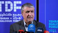 Iran nuclear chief blocked from Vienna meeting after US pressure