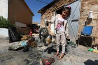 Israeli settler seen abusing 5 Palestinian children in Hebron