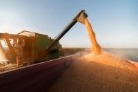 USDA lowers corn production forecast, raises soybean price outlook  
