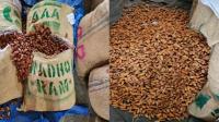 Pakistan-origin dry dates enter India via UAE despite ban; DRI seizes 362 tonnes