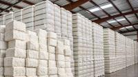 Textile Industry Seeks Six-Month Extension for Duty-Free…