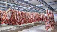 From the Kalahari to Kinshasa: Botswana’s beef industry confronts its moment of reckoning
