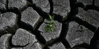 The Strategic Asset Europe Has Overlooked
