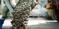 Scientists Have a Secret Ingredient for Better Concrete: Your Poop