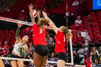 Volleyball: Lobos end week bruised after back-to-back ranked matchups