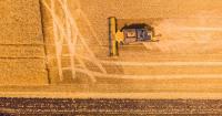 From farm to fork: 10 climate bottlenecks threatening food supply chains