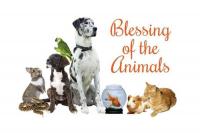 Annual Blessing of the Animals at Outer Banks Presbyterian Church on Oct. 11