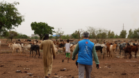 Climate forecasts alone won't protect Africa's poorest farmers