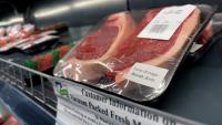 Government Offers Hope For Struggling Falklands Beef Market