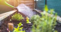 U of I Extension to host fall gardening webinar series