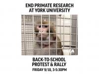 MEDIA ADVISORY - Back-to-School Protest at York University to Demand Freedom for the 'York 9' and an End to Primate Experiments