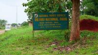 ANI, NPS begins major forest restoration at Okomu National Park