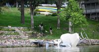 Catamaran Flies Over Boat Lift & Crashes Onto Land In Iowa, Sending Two To Hospital