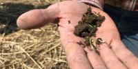 Minnesota offers $3.22 million in grants for soil health projects