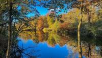 Department of Health: Avoid Lower Melville Pond due to algae blooms