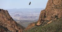 Texas landowners sue Trump administration over Big Bend border wall plans