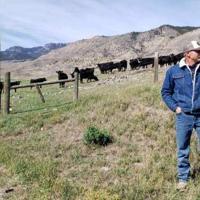 TE Ranch: habitat for cattle and wildlife