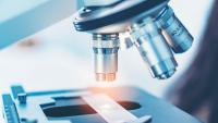 New Study Examines Americans’ Relationship With Science – It’s Complicated