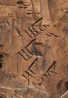 Mongol-Era Script Found on Rosewood From 14th-Century Shipwreck