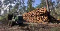 The Trump administration wants to bolster U.S. timber production. Environmentalists say its rule change could wreak environmental havoc.