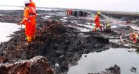 Activists Seek Indigenous Approach To Tackle Ogoni Environmental Crisis