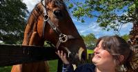 UTIA launches fellowship to prepare future animal science professionals