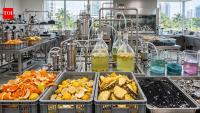 Singapore researchers use fruit peels to recover metals from old batteries