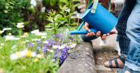 Gardeners urged to scatter lime in garden in September