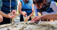 Virginia Department of Conservation and Recreation launches first statewide plan to build environmental literacy in schools