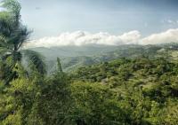 Agronomist warns that forests could disappear from national parks